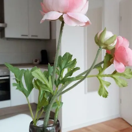 Mit Loggia Apartment Munster (North Rhine-Westphalia)