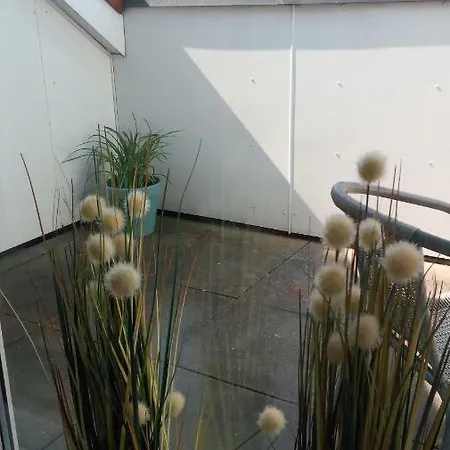 Mit Loggia * ミュンスター