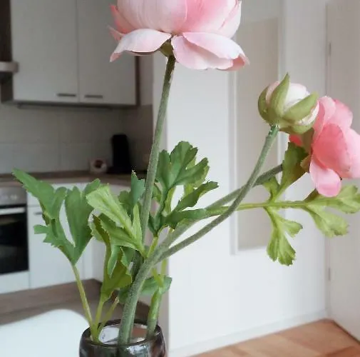 Mit Loggia 아파트 뮌스터