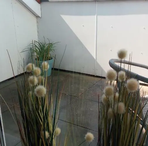 Mit Loggia * 蒙斯特